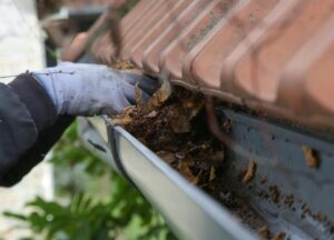 gutter cleaning