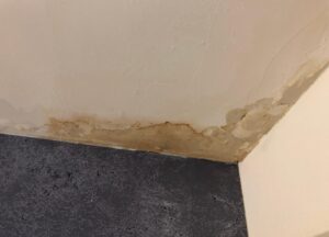 When a Bathroom Leak Is Ignored